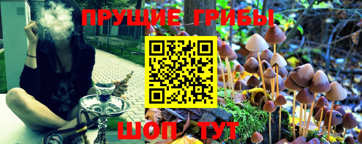 Галлюциногенные грибы Magic Shrooms Заводоуковск